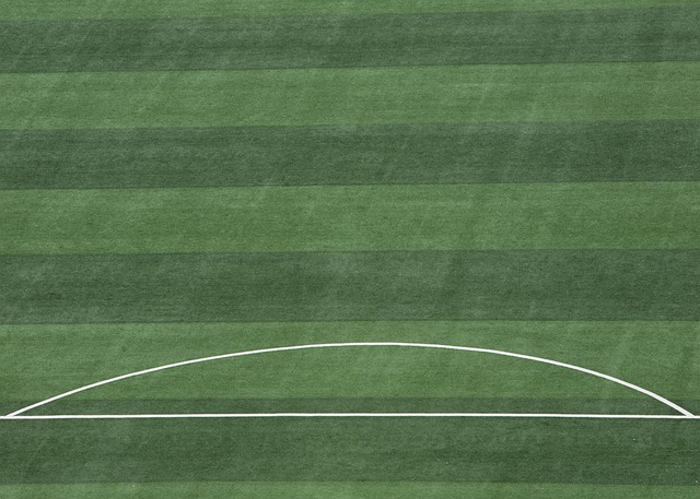 新一轮合作