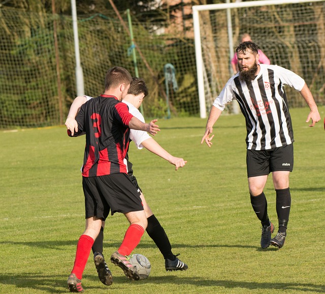 从而推动了 从而推动了