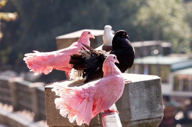 病的全面理 病的全面理