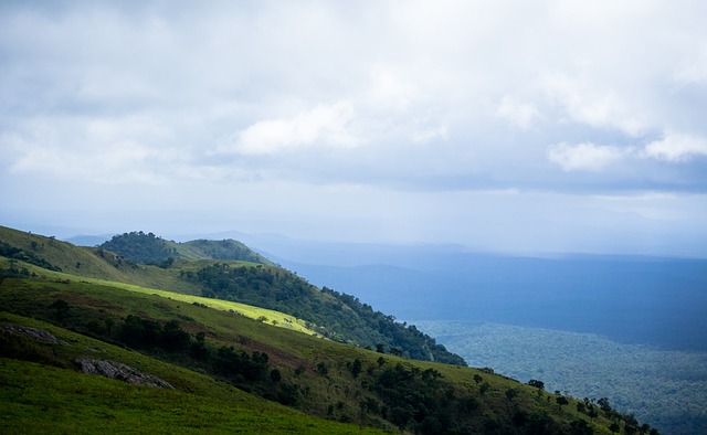 再造瓜梅效 再造瓜梅效