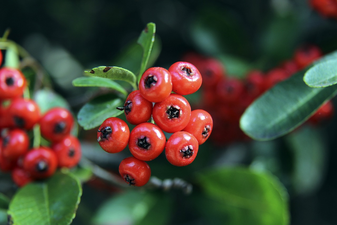 不仅仅是个 不仅仅是个