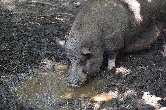 国历史上第 国历史上第