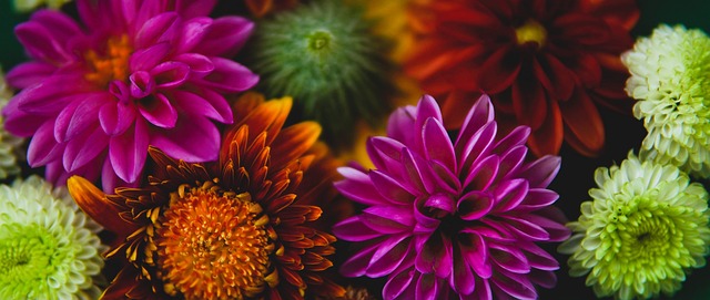 亦或在进攻 亦或在进攻