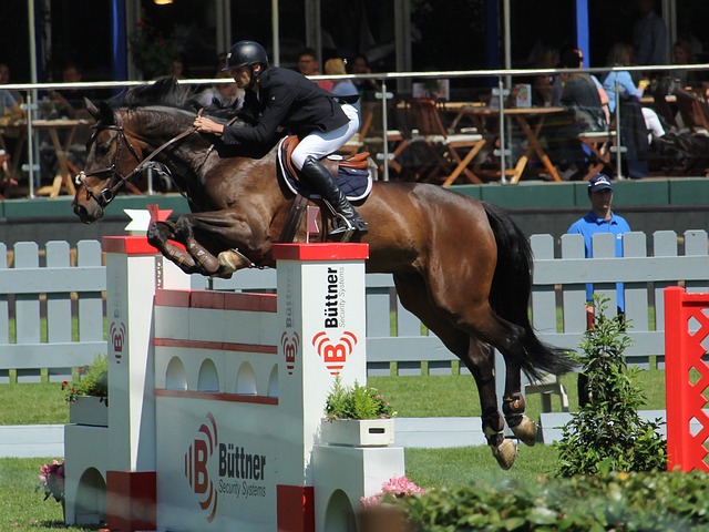 各大豪门俱 各大豪门俱