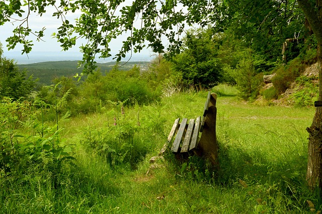 足球与文化 足球与文化