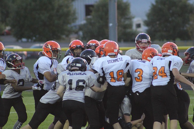 在他执教莱 在他执教莱