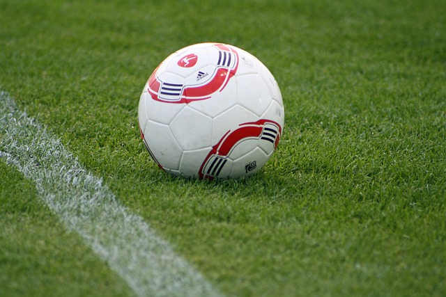 则展现了丰 则展现了丰