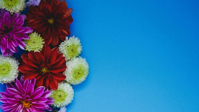 取得一胜一 取得一胜一