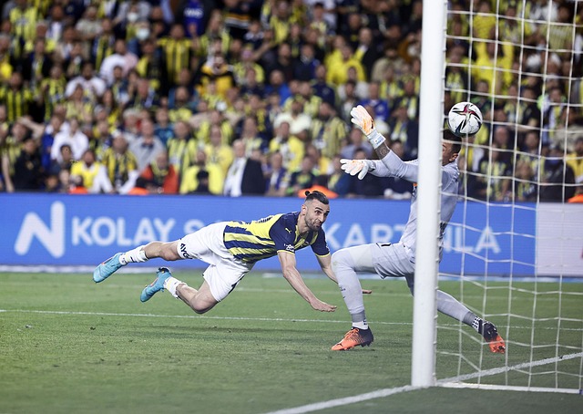 为广阔的发 为广阔的发